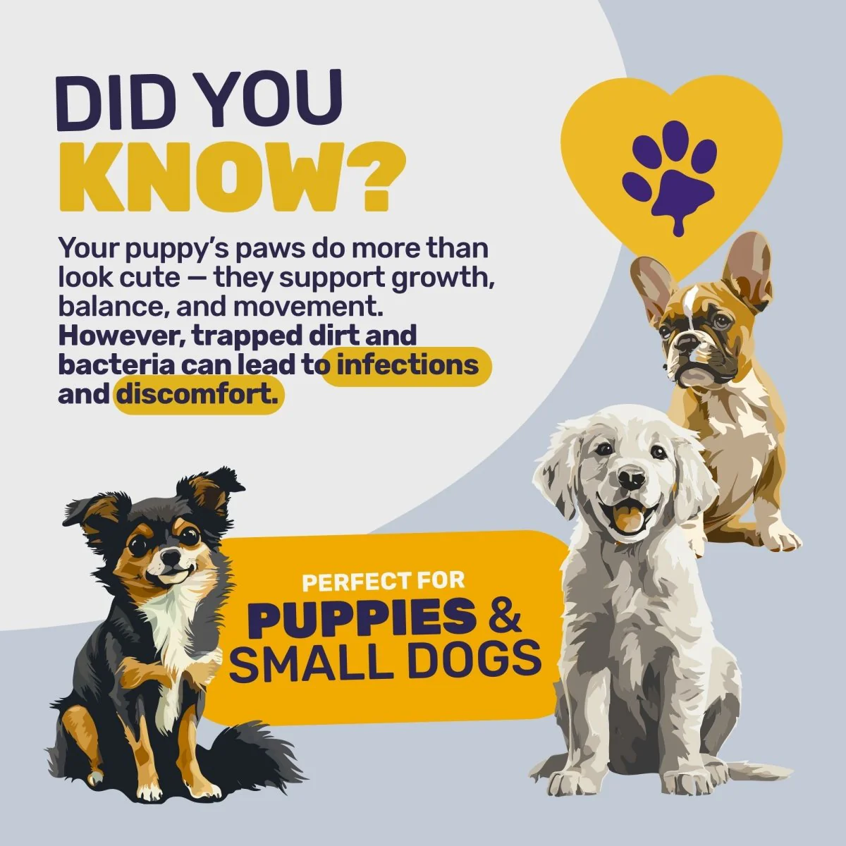 PawBuddy - Image 5
